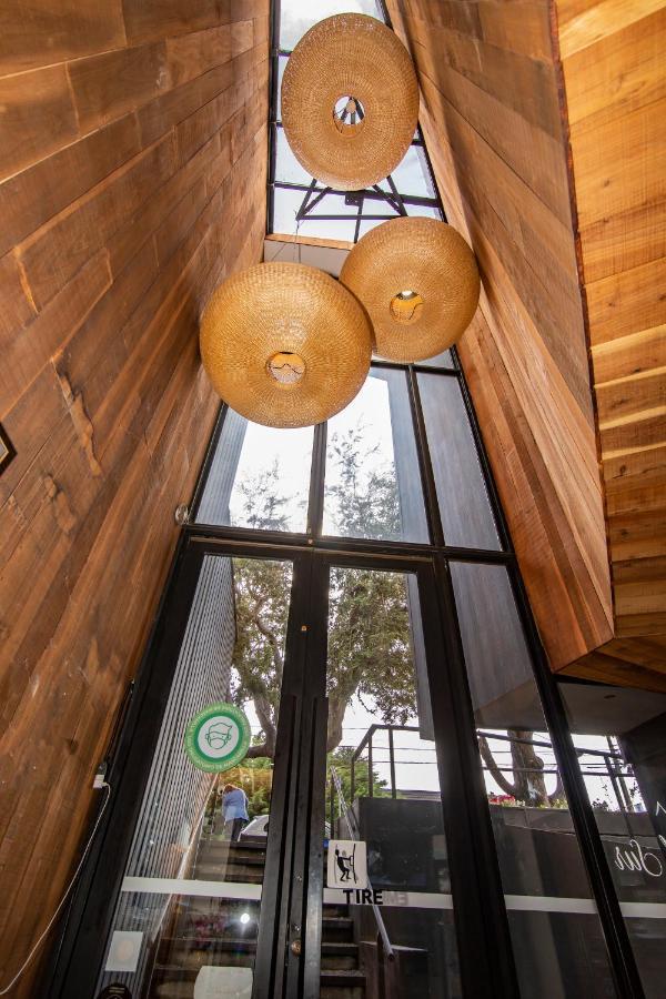 Hotel Cumbres Del Sur Pucon Ngoại thất bức ảnh