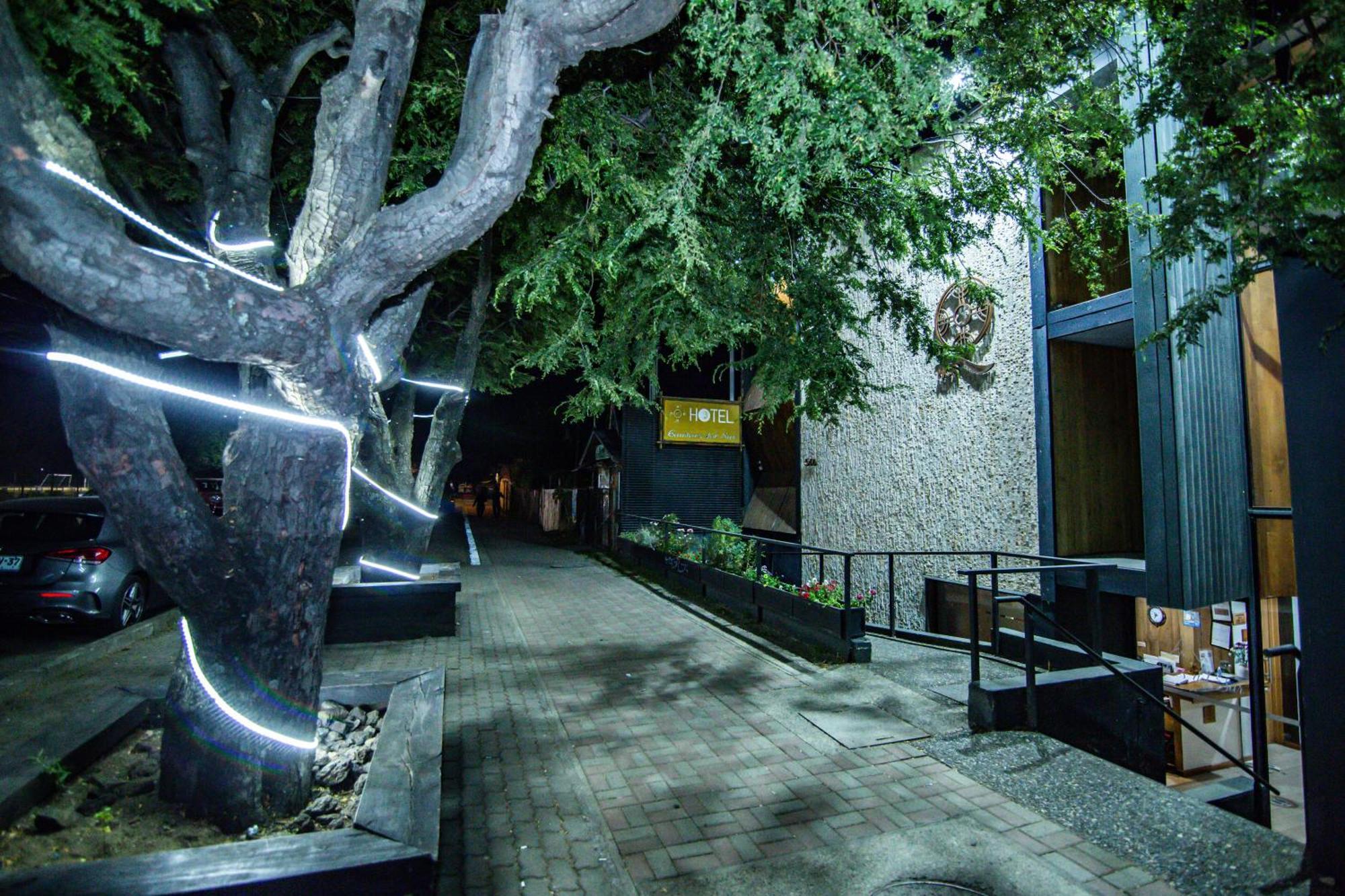 Hotel Cumbres Del Sur Pucon Ngoại thất bức ảnh